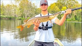 Pike fishing the concord river for super aggressive fish [upl. by Yelyak]