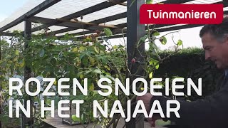 Rozen snoeien in het najaar hoe snoei je de klimroos  Tuinmanieren [upl. by Besnard132]