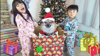 Christmas Morning 2017 SpecialOpening Presents and Surprise Puppy from Santa [upl. by Bremer]