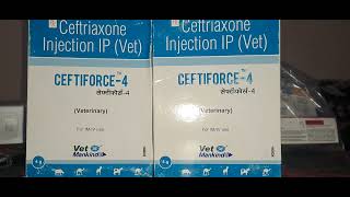 Ceftriaxone Injection IP Vet CEFTIFORCE4 [upl. by Adnilra]