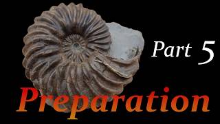 Ammonite preparation Hoplites from Troyes Part 5 [upl. by Mccreery]