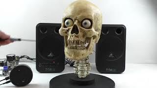 The Easiest Way to Turn your Amazon Alexa into a Talking Skull [upl. by Olegnaid]