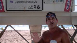 Real Radio 943fm  quotThe Lifeguard Codequot with the GREEK [upl. by Dincolo]