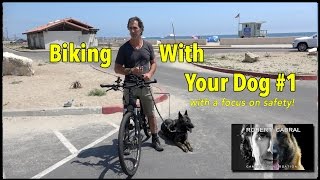 Biking With Your Dog  The quotHow To Videoquot  Dog Training and Safety [upl. by Lika]