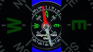 Pointing North Decoding the Science Behind How Compasses Work NavigationMystery [upl. by Aivataj]