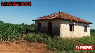 Encontrei Uma Cobra Cascavel Dentro da Casa Abandonada Estava me Esperando no Chão [upl. by Silverts]