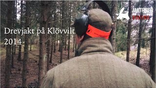 JAKTFEBER Drevjakt på klövvilt 2014 [upl. by Etteinotna]