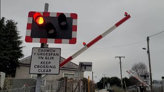 Traeth Mawr Level Crossing Gwynedd 13012024 [upl. by Eenwat420]