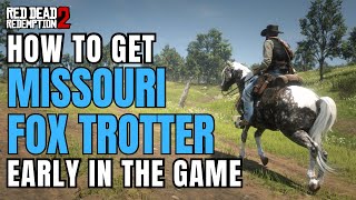 How to get Missouri Fox Trotter EARLY  RDR2 [upl. by Eniamraj]