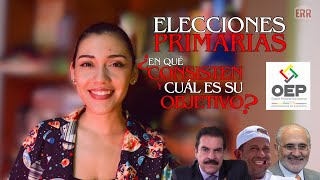 Elecciones Primarias ¿En qué consisten y cuál es su objetivo  Videocolumna 006 [upl. by Ellimac430]