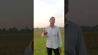 Bangla new video hindisong bangladesh india english bollywood entertainment [upl. by Anauqes]