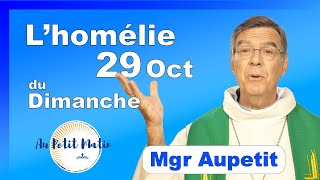 Homélie du Dimanche 29 Octobre  Avec Mgr Aupetit [upl. by Barden232]