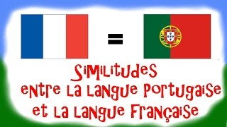 Cours de Portugais  Vidéo 3  Similitudes entre la langue portugaise et la langue française [upl. by Rukna]