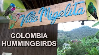 I Visited VIlla Migelita in Colombia to Photograph More Hummingbird Species [upl. by Aerdnak854]