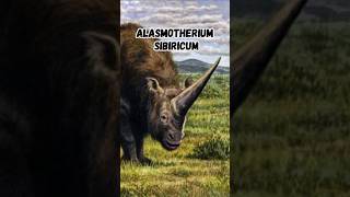 Elasmotherium sibiricum The Majestic Siberian Unicorn of the Pleistocene [upl. by Innej]