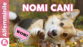 NOMI CANI i più belli e originali 🐶❤️ [upl. by Naujed]