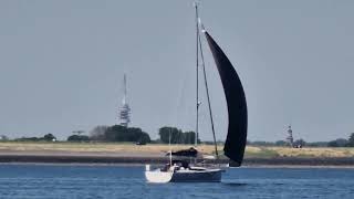 take a look at zeelander yachts sailing in bruinisse zeeland the netherland july 2023 [upl. by Nnarual]