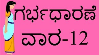 Pregnancy Week by Week  Kannada  Week 12 [upl. by Zetnauq]