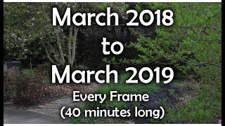 Full Length Time Lapse of a Garden Over One Year March 2018 to 2019  40 minutes total [upl. by Jerrol]