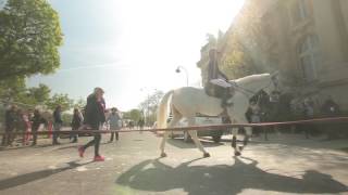 Le Saut Hermès au Grand Palais 2017 [upl. by Halihs]