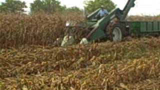 Picking corn at 50 years of progress [upl. by Anaili]