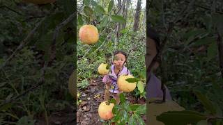 Single mom make pomegranate juice survival camping bushcraft viralvideo [upl. by Refinneg616]