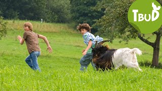 Bocksprünge Folge 7  Tiere bis unters Dach  SWR Plus [upl. by Ailimaj169]