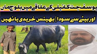 جٹ نے نیلی کے علاقے میں بلوچ میں بلوچ ما ں اور بیٹے سے سودا [upl. by Immak]