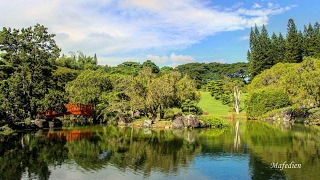 Jardín Botánico de Santo Domingo [upl. by Atnicaj]