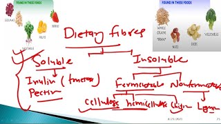 dietary fibers biochemistry  Dietary fibers with importance  Explain importance of dietary fibres [upl. by Min53]