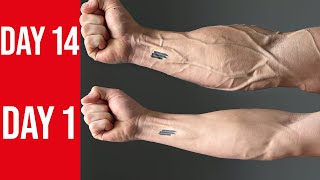 BIG amp VASCULAR FOREARMS  8 BEST EXERCISES AT HOME NO EQUIPMENT [upl. by Silverts]