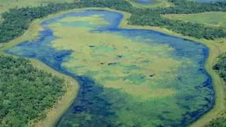 PANTANAL BRASIL  Tema da Novela quotPantanalquot [upl. by Crist]