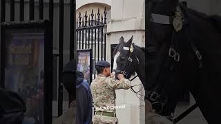 Brilliant Soldier Helps Remove Grass from Horses Mouth [upl. by Kraft]