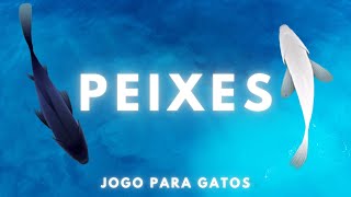 Jogos para gatos  Peixes 🐠  MUITO DIVERTIDO 😸 [upl. by Yrrad]