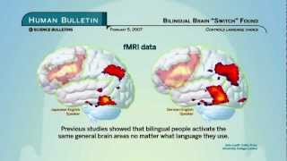 Science Bulletins Bilingual Brain Switch Found [upl. by Orion]