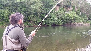 La espectacular pesca del salmón a mosca coto La Figal Ríos NalónNarcea Tino Faez [upl. by Blanch]