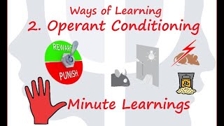 Operant Conditioning Reinforcement Reward Punishment Skinner Box [upl. by Ponce308]