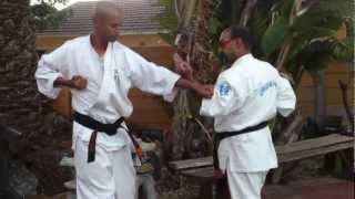 Ashihara Karate Uke 1  basic application of blocks [upl. by Goldfinch260]