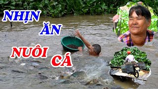 Cặp vợ chồng nghèo nhịn ăn để nuôi đàn cá trên sông  ĐỘC LẠ BÌNH DƯƠNG [upl. by Natale720]