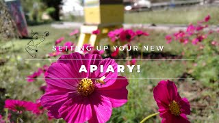 Setting up your apiary  How to get the most honey [upl. by Korella]