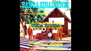 Banda Sinaloense Los Camperos quotLa higueritaquot album completo [upl. by Ming]