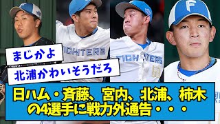 【悲報】日本ハムが柿木蓮、宮内春輝、北浦竜次、齊藤伸治に戦力外通告【なんJ反応】 [upl. by Compton]