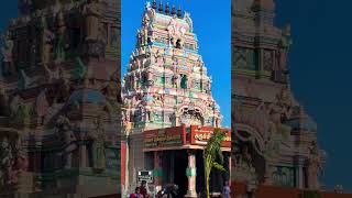 Ranganathar Temple Palamalai Coimbatore puratasi purattasisani perumal coimbatore saturday [upl. by Waltner]