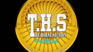 THSThe Horne Section  Crazy Bout Your Love BoogieFunk [upl. by Nawud]