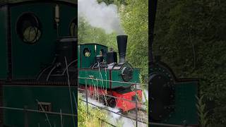 “Lily” departs for Cragside [upl. by Nats]