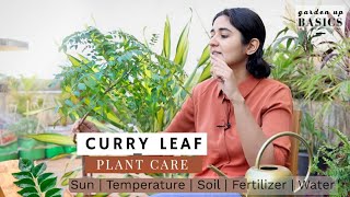 Growing Curry leaf in apartments  All you need to know  Ep7 Garden Up Basics [upl. by Breana863]