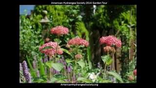 2014 Hydrangea Garden Tour Video [upl. by Anawak]