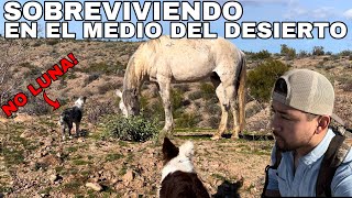 Los Caballos Salvajes Del Viejo Oeste [upl. by Abigail]