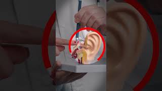 Ear Infection Home Remedies to Get Rid of Ear Pain Fast [upl. by Audri]