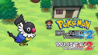 How to get Chatot in Pokemon Black 2 amp White 2 [upl. by Oijimer234]